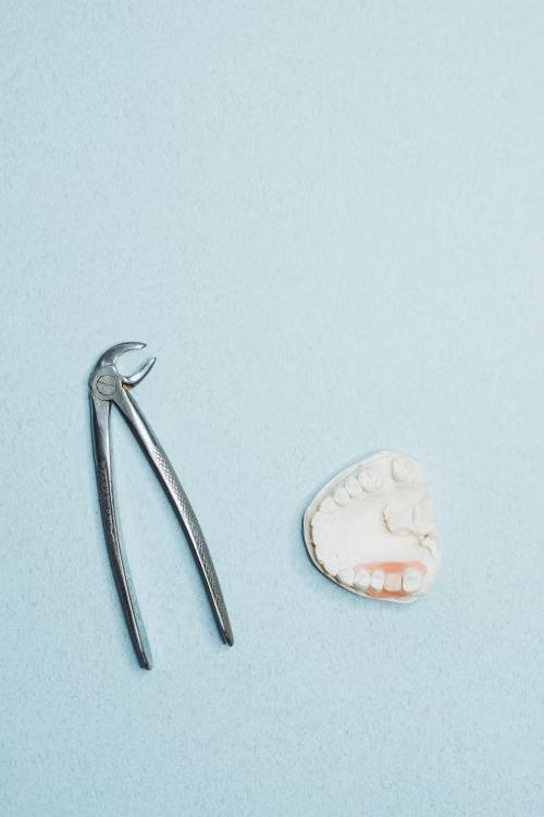 pincers and jaw.